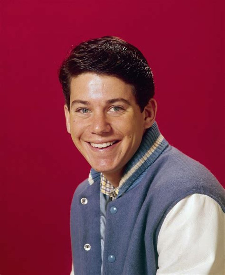 Anson Williams Net Worth