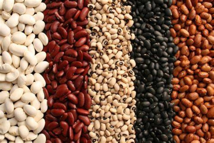 Beans
