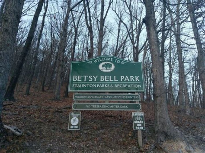 Betsy Bell / Entity Voice