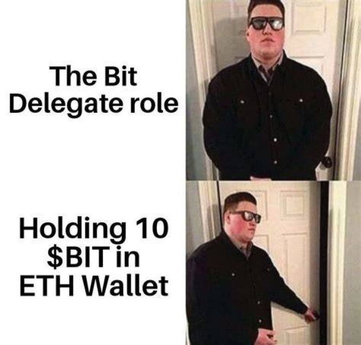 Bit Role