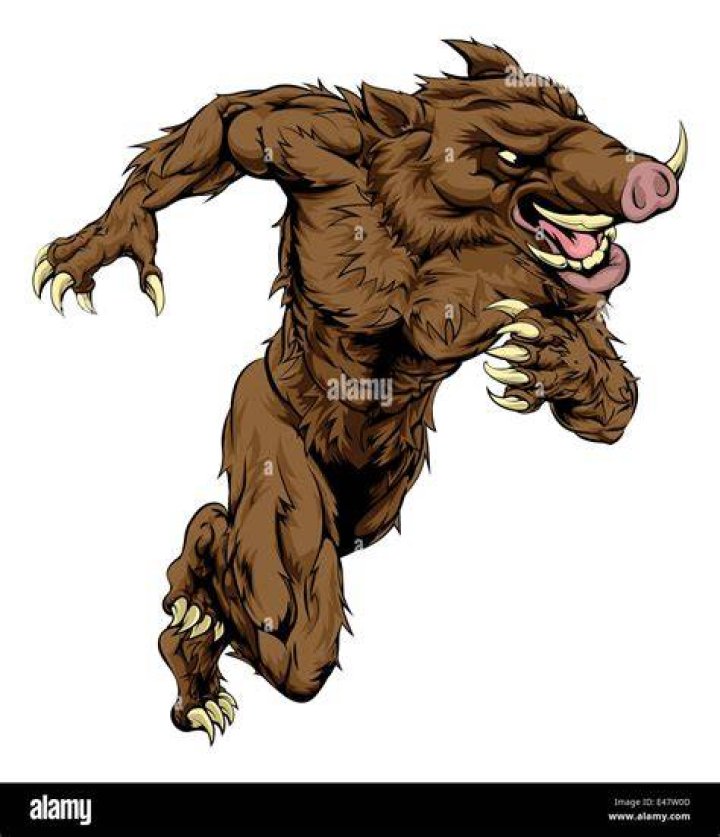 Boar Man