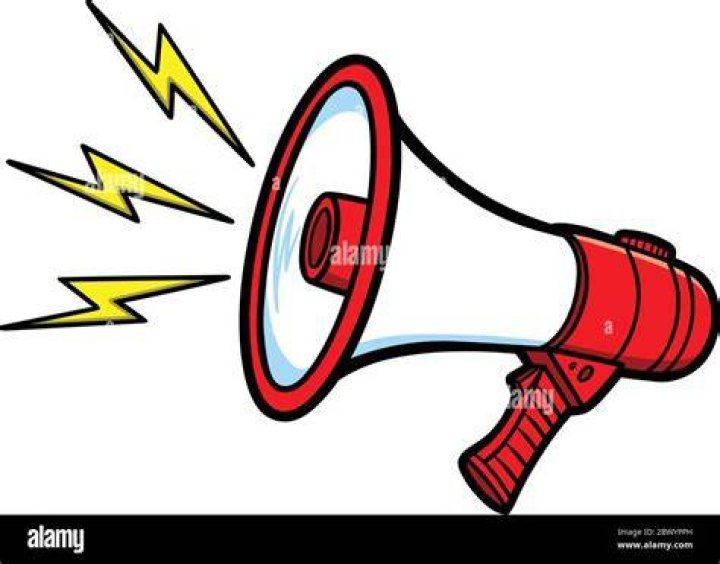 Bullhorn