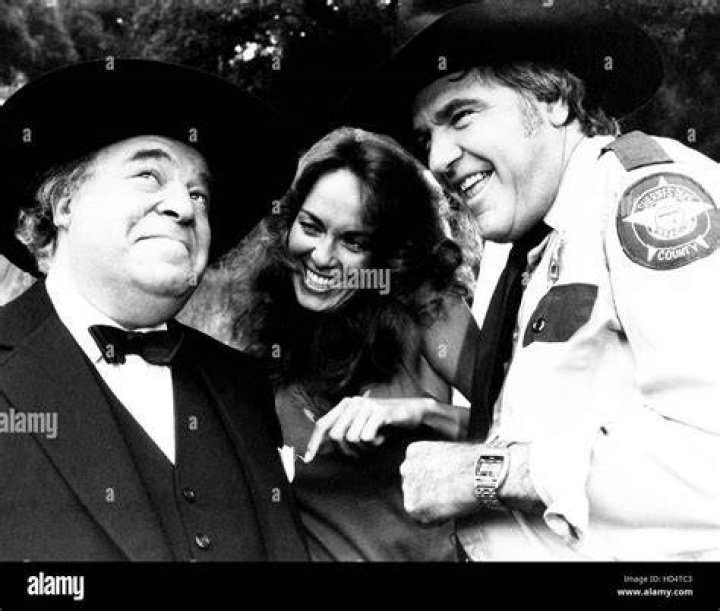 Catherine Bach, James Best, Sorrell Booke, Ben Jones, Denver Pyle, Peggy Rea, John Schneider, Sonny Shroyer, Tom Wopat