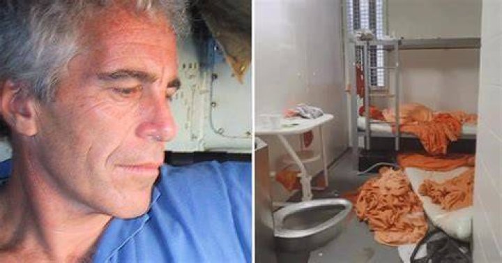 
Did Jeffrey Epstein go mad before suicide? 