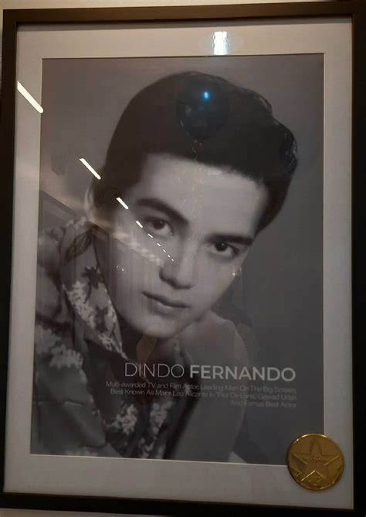 Dindo Fernando Net Worth