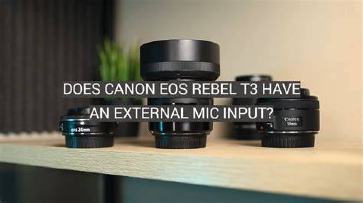 Does the canon t3 have a mic input