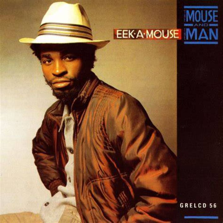 Eek-A-Mouse Net Worth