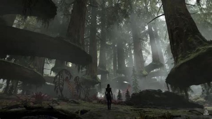 Efficiently Navigate to Clouded Forest's Cluster Pines Biome near Fertile River for Cloud Pine Bark