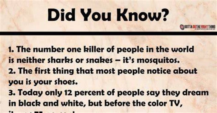 
Facts You Didn’t Know About This Old House 