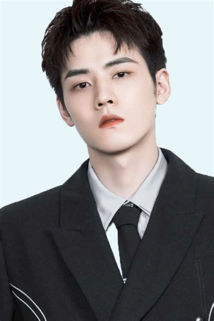 Hao Ren Net Worth