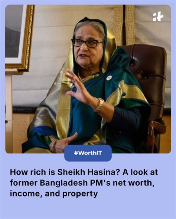 Hasina Haque Net Worth