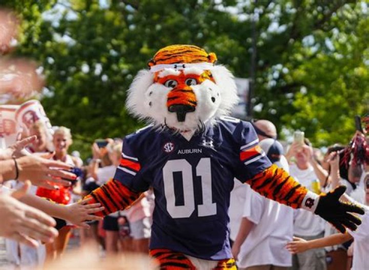 Himself - Auburn Tigers Quarterback(MVP)
