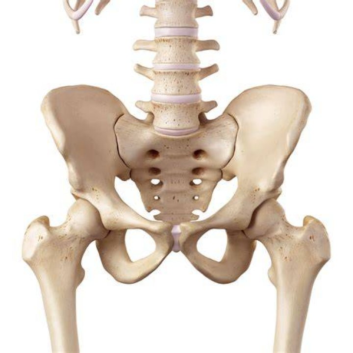 Hip