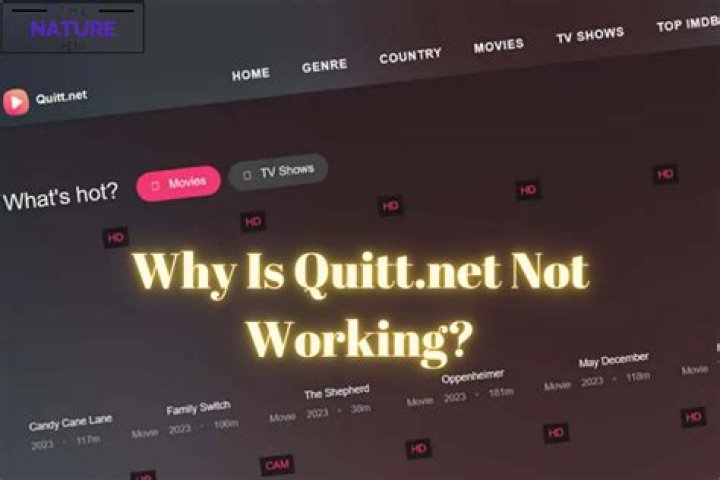 How to Fix / Solve Quitt.net Not Working - SarkariResult