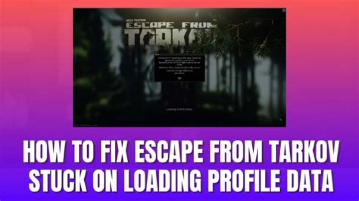 How to Fix / Solve Tarkov Stuck on Loading Profile Data? - SarkariResult
