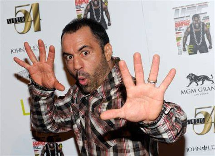 
Is Fear Factor Host Joe Rogan Married? 