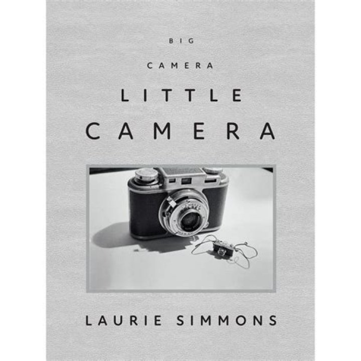 Laurie Simmons Net Worth