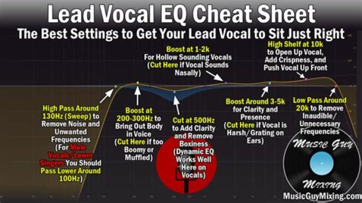Lead Vocal