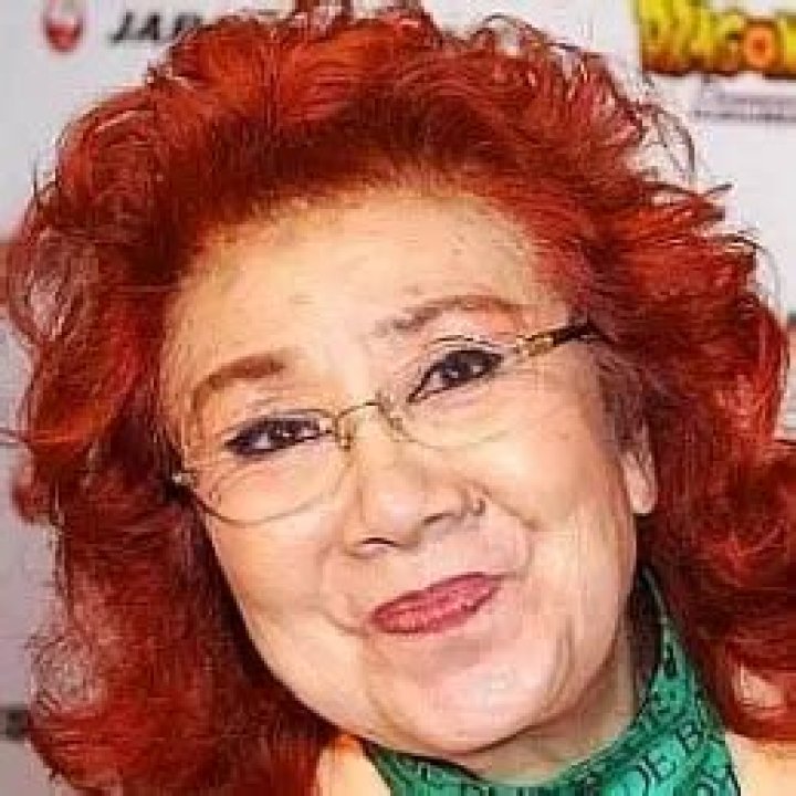 Masako Nozawa Net Worth