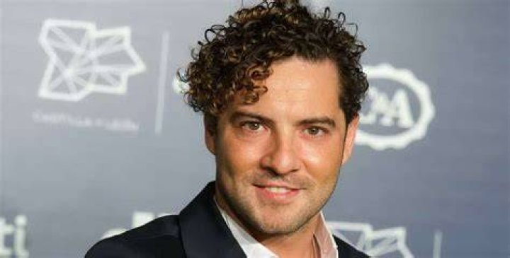 Nelson Bisbal Net Worth