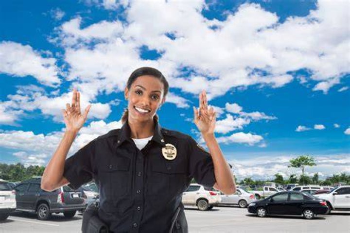 Parking Officer