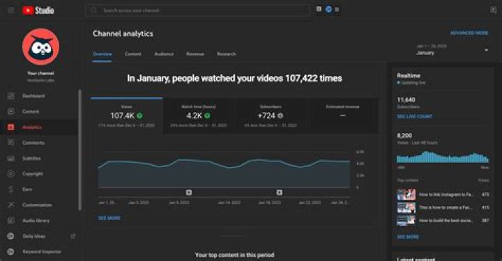 Reach Records Youtuber overview
