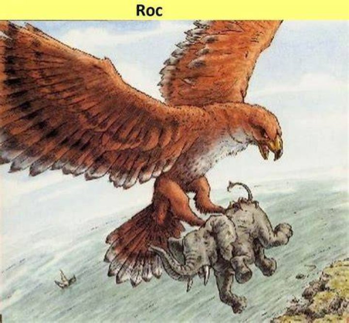 Roc