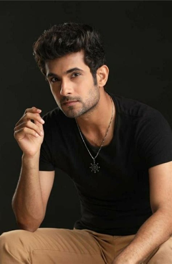 Sanam Puri Net Worth