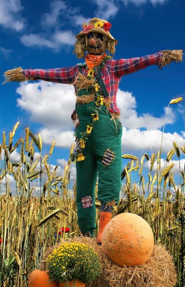 Scarecrow