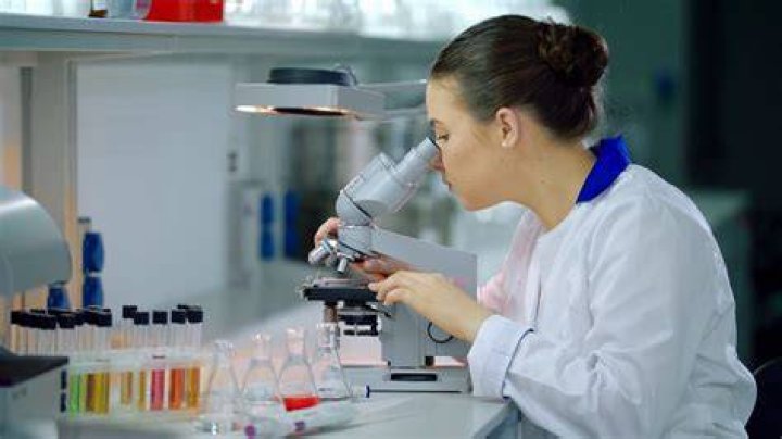Scientist