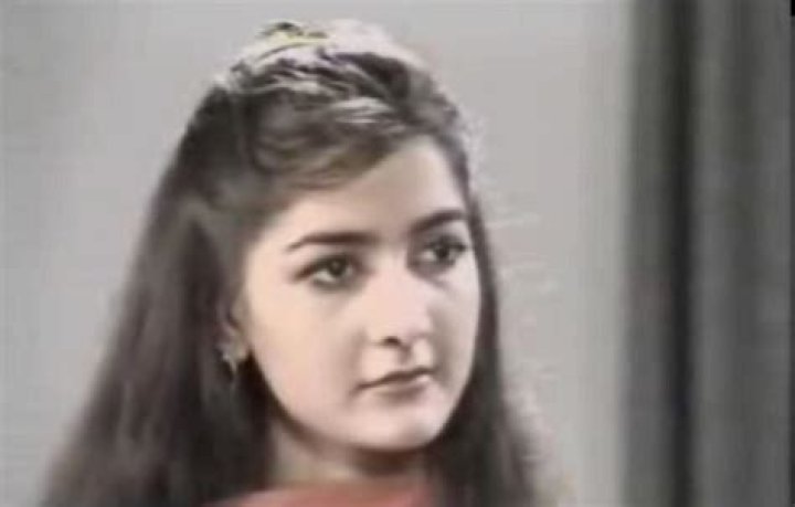 Seemi Zaidi Net Worth