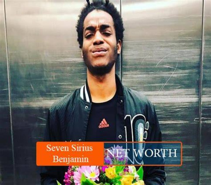 Seven Sirius BenjaminNet worth Seven Sirius Benjamin Net worth
