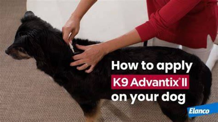 Should i bathe my dog before applying advantix