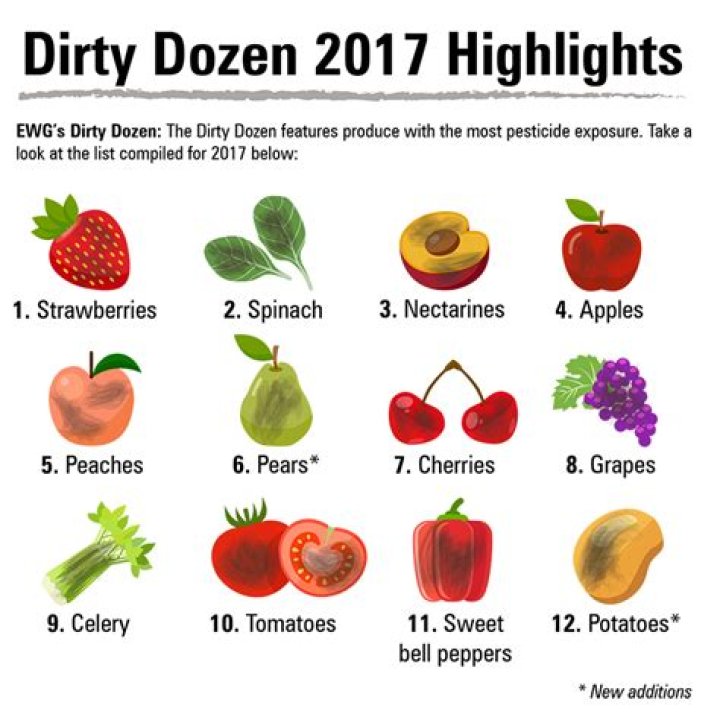 The Dirty Dozen