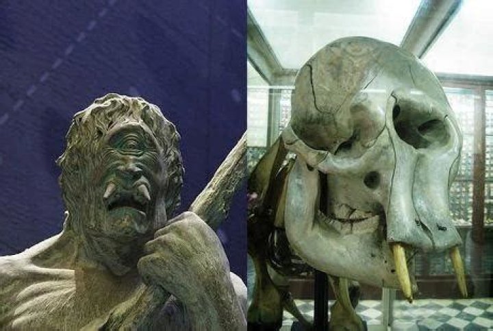 
Was Cyclops Really Inspired By Pygmy Elephant Skulls? Reddit Discussions Explained 