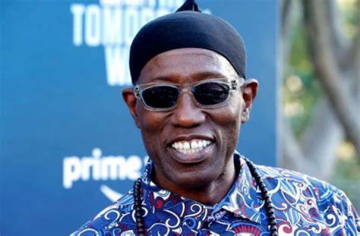 Wesley Snipes Health Problems: Is Wesley Snipes Sick? When Did Wesley Snipes Get Out Of Prison?
