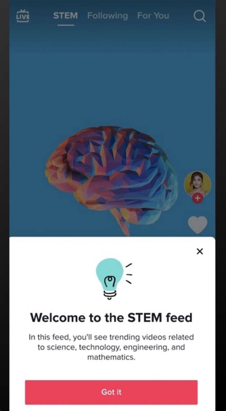 
What does stem mean on TikTok? LGBTQ label explained 