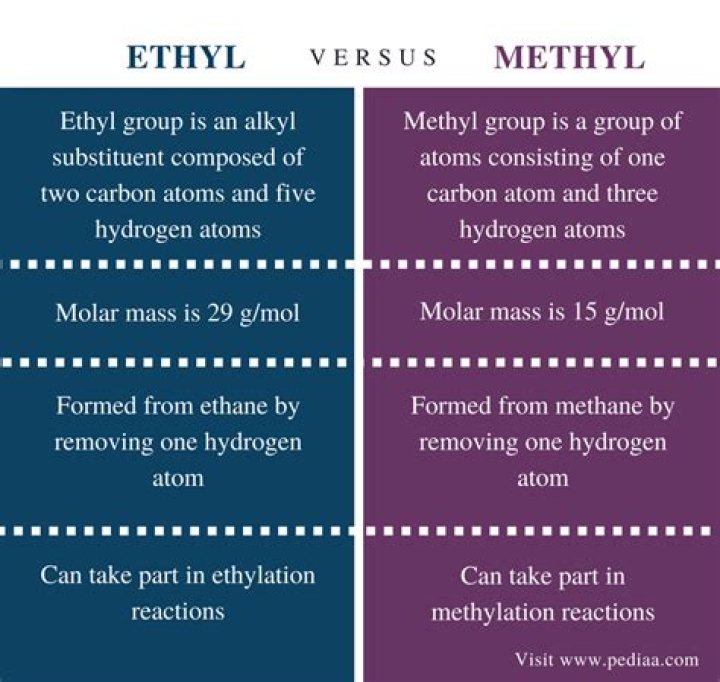 What is the Difference Between Ethyl and Methyl