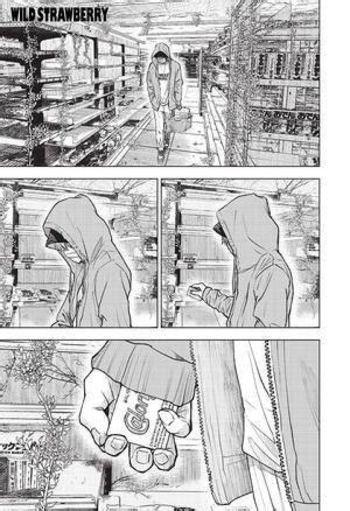Wild Strawberry Chapter 6