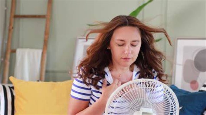 Woman Fan